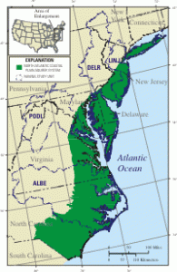 North Atlantic Coastal Plain